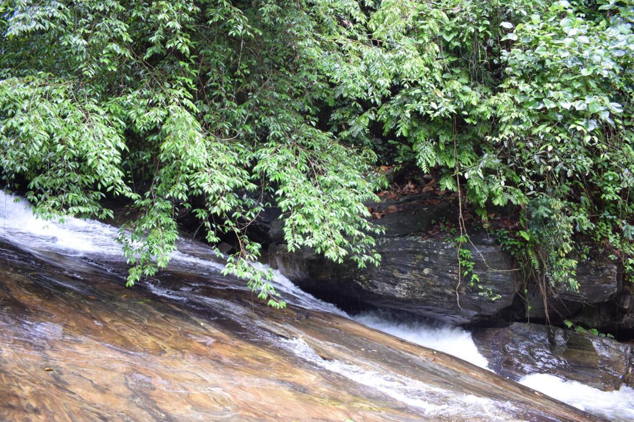 Royal River Resort Kitulgala Exterior foto