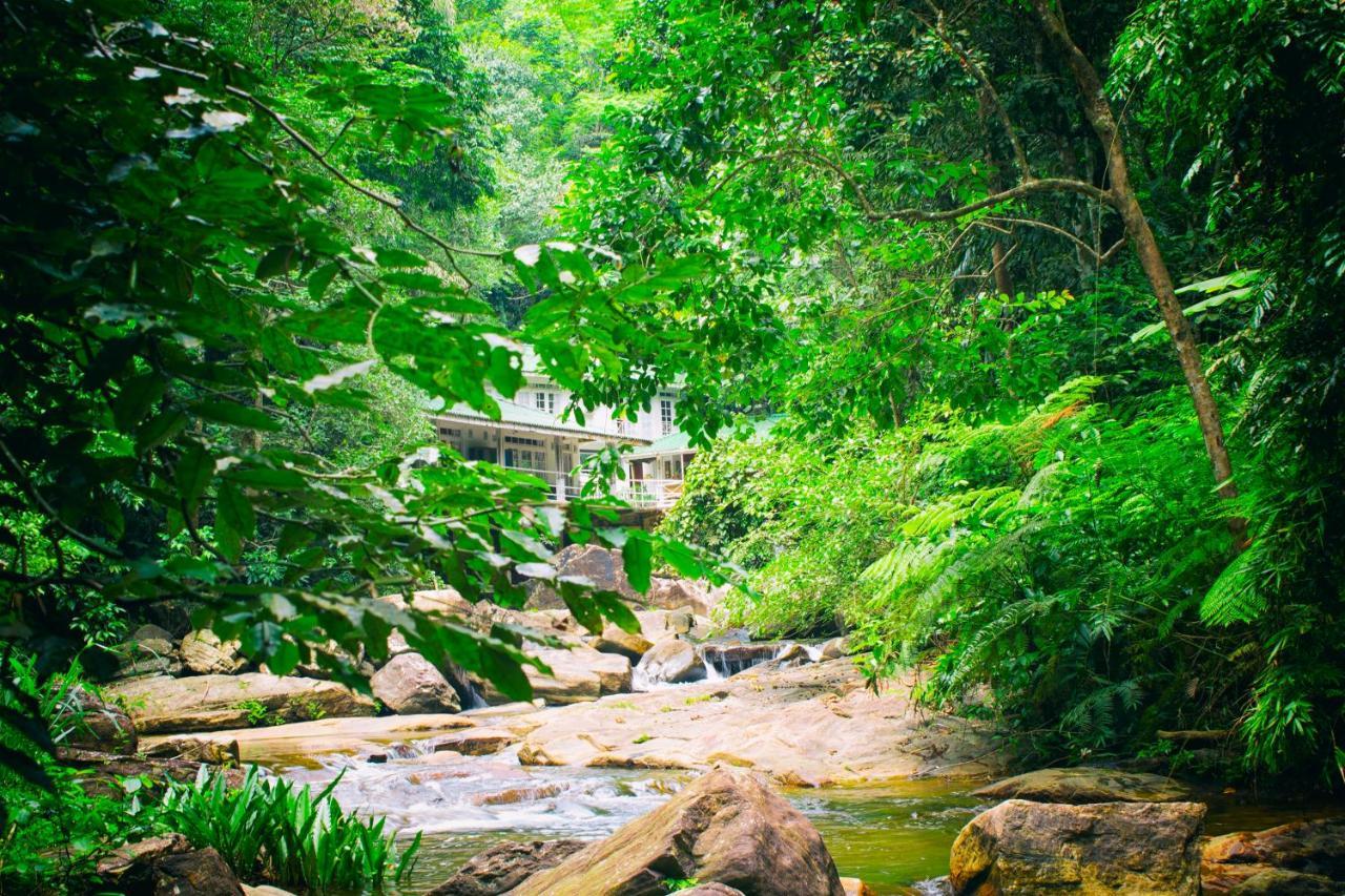 Royal River Resort Kitulgala Exterior foto